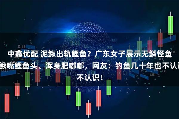 中鑫优配 泥鳅出轨鲤鱼？广东女子展示无鳞怪鱼，鳅嘴鲤鱼头、浑身肥嘟嘟，网友：钓鱼几十年也不认识！