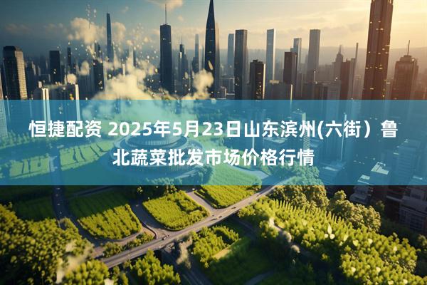 恒捷配资 2025年5月23日山东滨州(六街）鲁北蔬菜批发市场价格行情