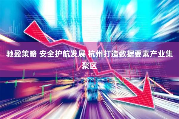驰盈策略 安全护航发展 杭州打造数据要素产业集聚区